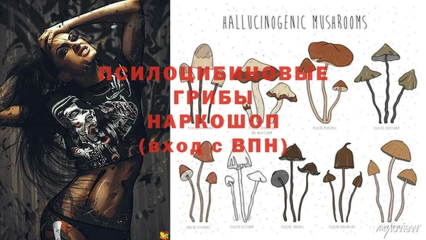 молекула духа Алексин