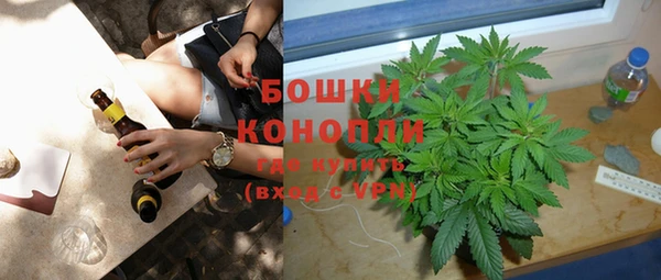 ешки Алзамай