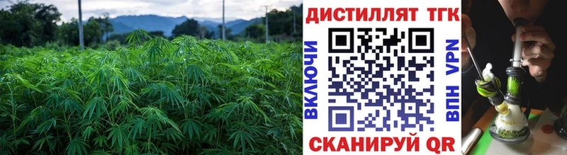 Дистиллят ТГК гашишное масло  Гаджиево 