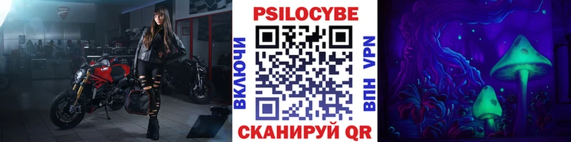 MEGA онион  Гаджиево  даркнет какой сайт  Галлюциногенные грибы Psilocybine cubensis 