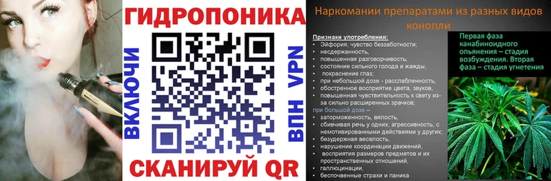 блэк спрут ССЫЛКА  Гаджиево  Бошки Шишки Bruce Banner 